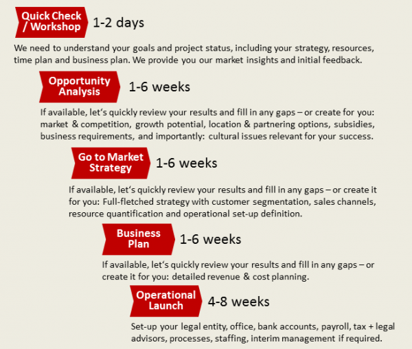 BizDev Process